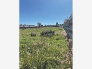 Terreno en Venta en Momoxpan San Pedro Cholula