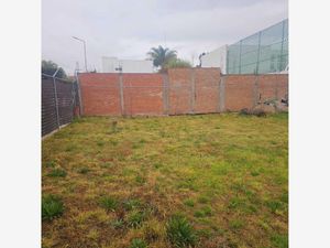 Terreno en Venta en Los Pinos San Pedro Cholula