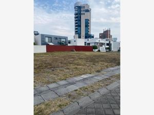 Terreno en Venta en Bosques de Zavaleta Puebla