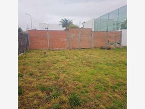 Terreno en Venta en Los Pinos San Pedro Cholula