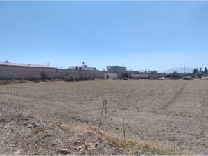 Terreno en Venta en San Andres Ocotlan Calimaya