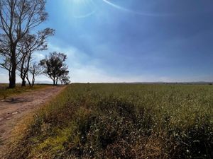 Terreno en Venta en Palos Altos Soyaniquilpan de Juárez