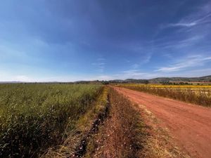 Terreno en Venta en Palos Altos Soyaniquilpan de Juárez