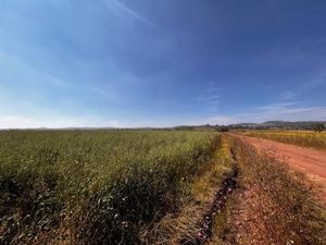 Terreno en Venta en Palos Altos Soyaniquilpan de Juárez