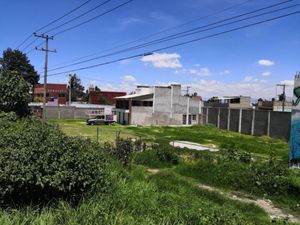 Terreno en Renta en San Miguel Totocuitlapilco Metepec