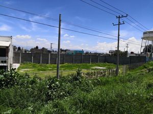 Terreno en Renta en San Miguel Totocuitlapilco Metepec