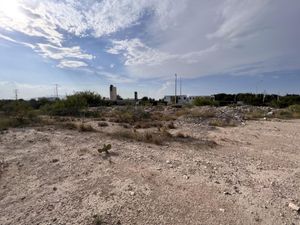 Terreno en Venta en Residencial los Encinos Saltillo