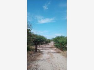 Terreno en Venta en Santo Domingo Tehuantepec Centro Santo Domingo Tehuantepec