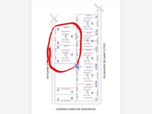 Terreno en Venta en Campo Nuevo de Zaragoza Torreón