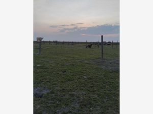 Terreno en Venta en Santa Maria Tonanitla Tonanitla