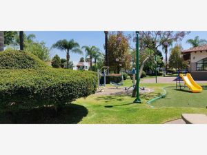 Terreno en Venta en Jardín Real Zapopan