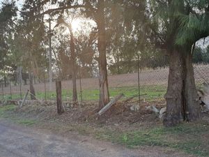 Terreno en Venta en Lomas de Tesistán Zapopan