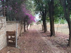 Terreno en Venta en Lomas de Tesistán Zapopan