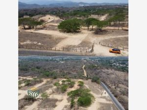 Terreno en Venta en Ixtapa Puerto Vallarta