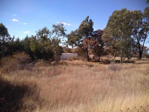 Terreno en Venta en Campestre Haras Amozoc