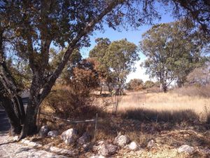 Terreno en Venta en Campestre Haras Amozoc