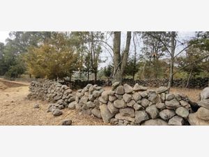 Terreno en Venta en El Rincon Jilotepec