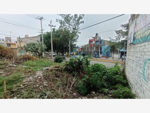 Terreno en Renta en Izcalli Ixtapaluca