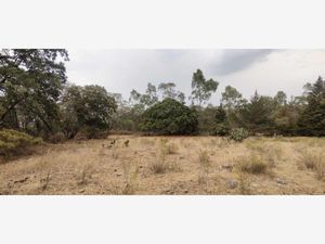 Terreno en Venta en El Rincon Jilotepec