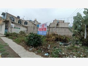 Terreno en Renta en Izcalli Ixtapaluca