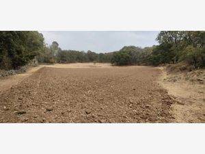 Terreno en Venta en El Rincon Jilotepec