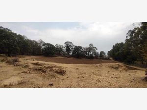 Terreno en Venta en El Rincon Jilotepec