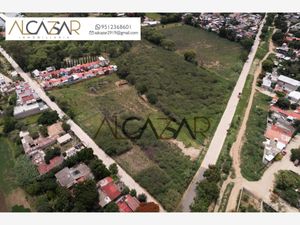 Terreno en Venta en San Jacinto Amilpas San Jacinto Amilpas