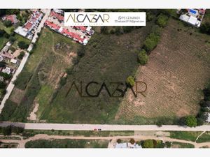 Terreno en Venta en San Jacinto Amilpas San Jacinto Amilpas