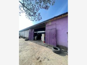 Terreno en Venta en Ocotlan de Morelos Centro Ocotlán de Morelos