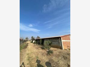 Terreno en Venta en Ocotlan de Morelos Centro Ocotlán de Morelos