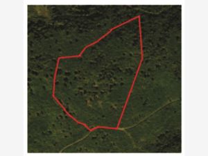 Terreno en Venta en San Antonio Tlatenco Chiautzingo