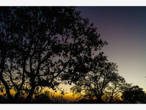 Terreno en Venta en Campestre Haras Amozoc