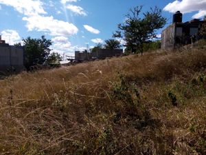 Terreno en Venta en Benito Juarez Santa Cruz Xoxocotlán