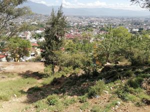 Terreno en Venta en El Coquito Oaxaca de Juárez