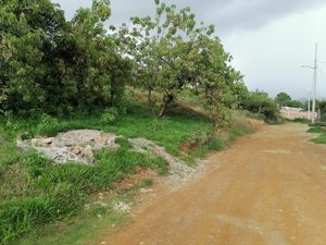 Terreno en Venta en Ejido Guadalupe Victoria Oaxaca de Juárez