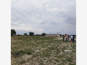 Terreno en Venta en Palomar Maquixco Teotihuacán