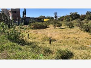 Terreno en Renta en San Agustin de las Juntas San Agustín de las Juntas