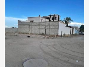 Terreno en Venta en Paso del Aguila Torreón