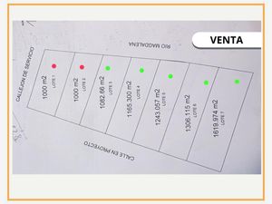 Terreno en Venta en Francisco Campillo Magdalena