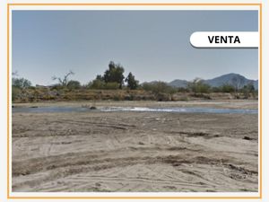 Terreno en Venta en Francisco Campillo Magdalena