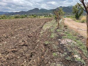 Terreno en Venta en La Cañada Ocuilán