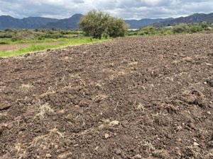 Terreno en Venta en La Cañada Ocuilán