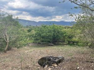 Terreno en Venta en La Cañada Ocuilán