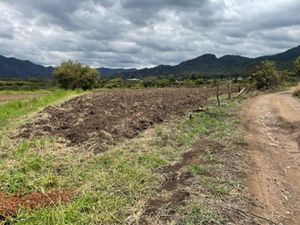 Terreno en Venta en La Cañada Ocuilán