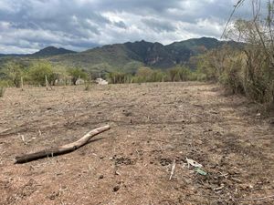 Terreno en Venta en La Cañada Ocuilán