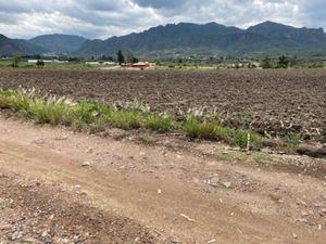 Terreno en Venta en La Cañada Ocuilán