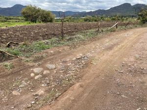 Terreno en Venta en La Cañada Ocuilán