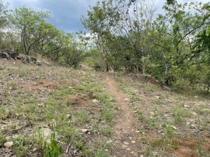 Terreno en Venta en La Cañada Ocuilán