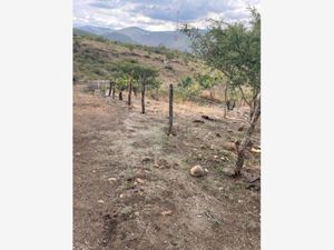 Terreno en Venta en La Cañada Ocuilán