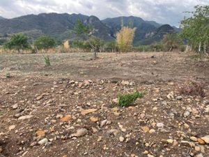 Terreno en Venta en La Cañada Ocuilán